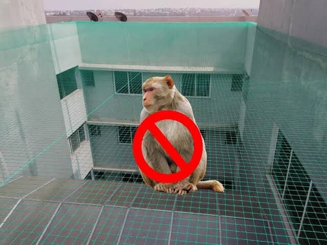 Sky Shield Safety Nets & Invisible Grills Monkey Deterrent Heavy Wire Netting Ashok Nagar, Chennai