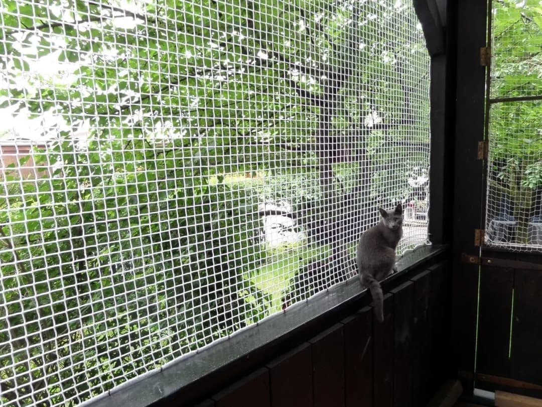 Sky Shield Safety Nets & Invisible Grills Pet Balcony Safety Netting Adyar, Chennai