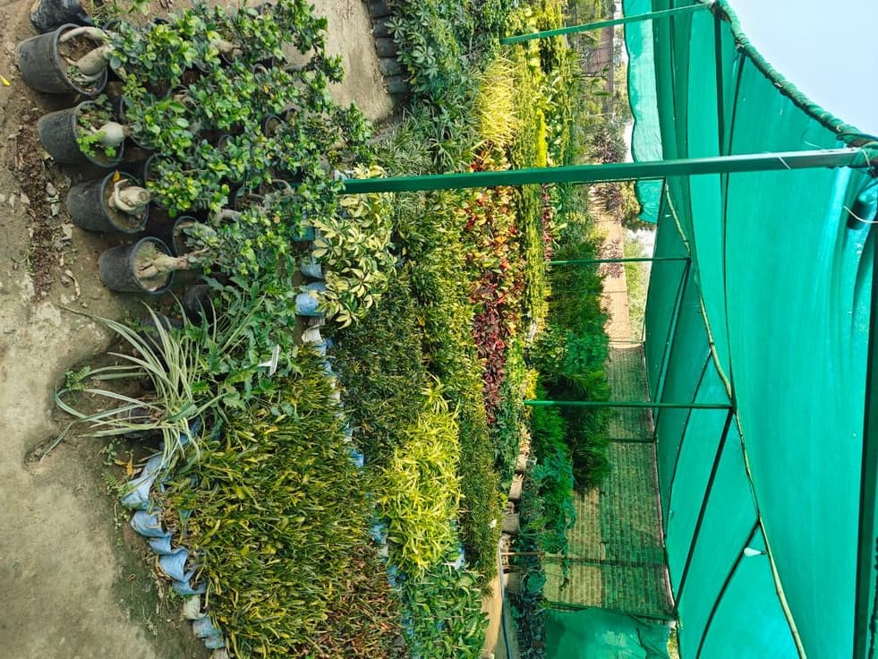 Shade Nets & Sun Protection